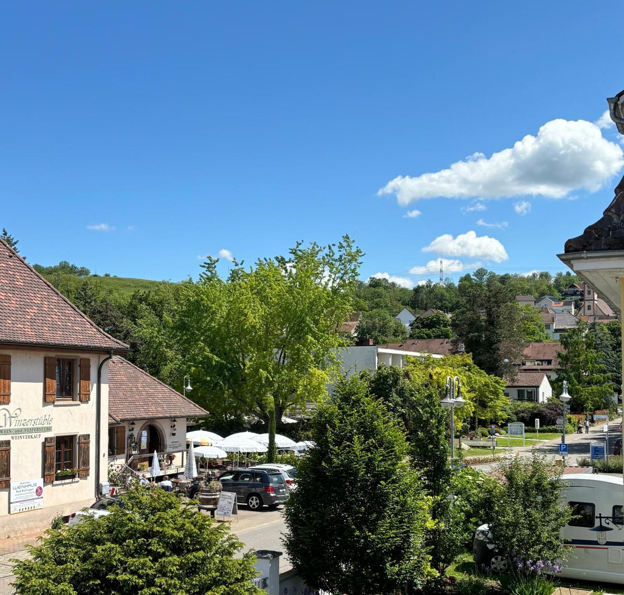 Gesamte Wohnung, Kueche, Parkplatz, Terrasse Bad Bellingen Bagian luar foto