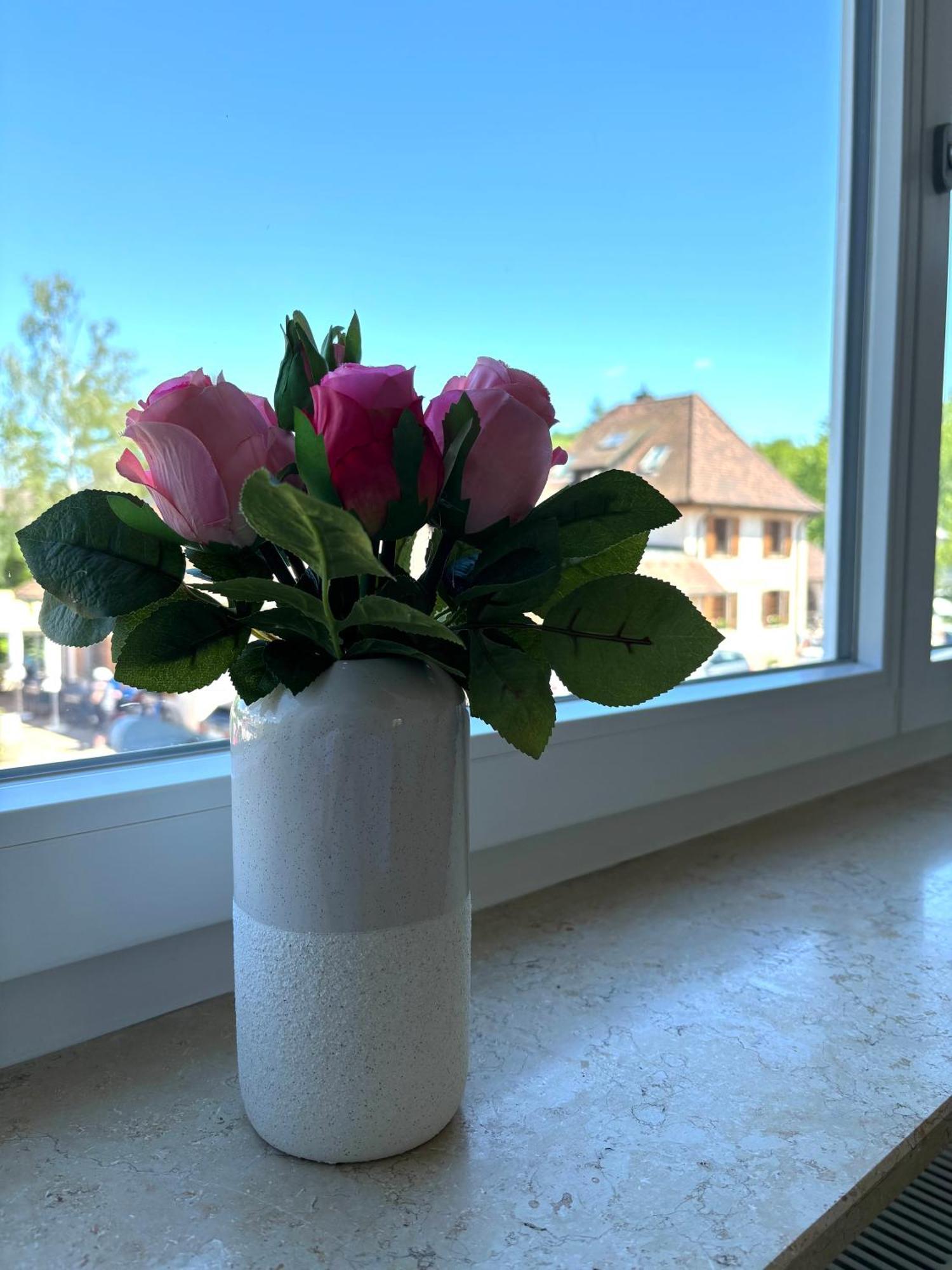 Gesamte Wohnung, Kueche, Parkplatz, Terrasse Bad Bellingen Bagian luar foto